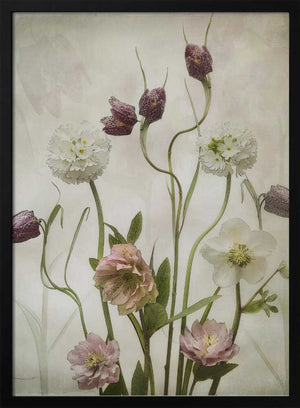 Tablou înramat „Spring Garden” de Sharon Williams