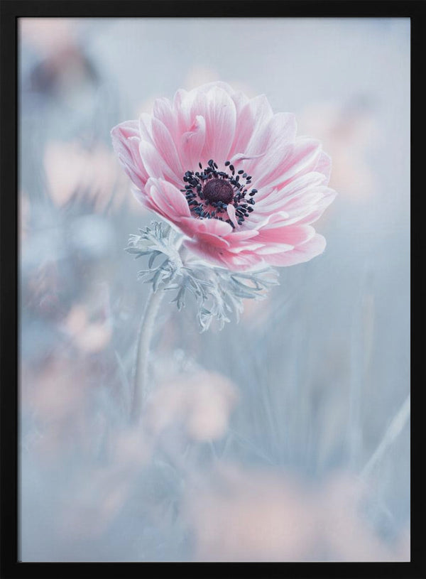 Tablou înramat „La reine de neiges” de Fabien BRAVIN