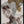 Tablou înramat „Brown Seaweed” de Pictufy Studio II