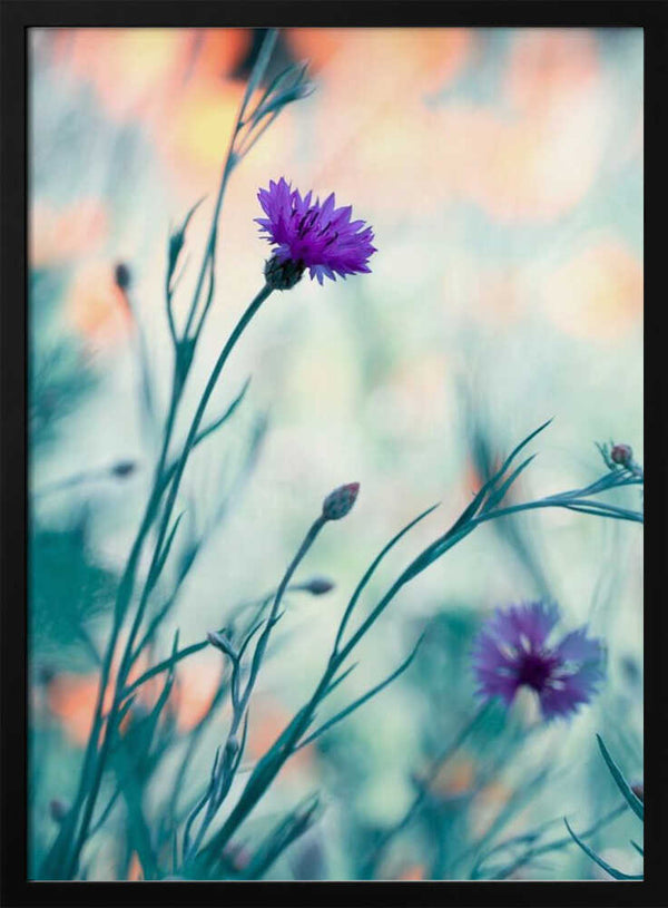 Tablou înramat „Colors game 2” de Fabien BRAVIN