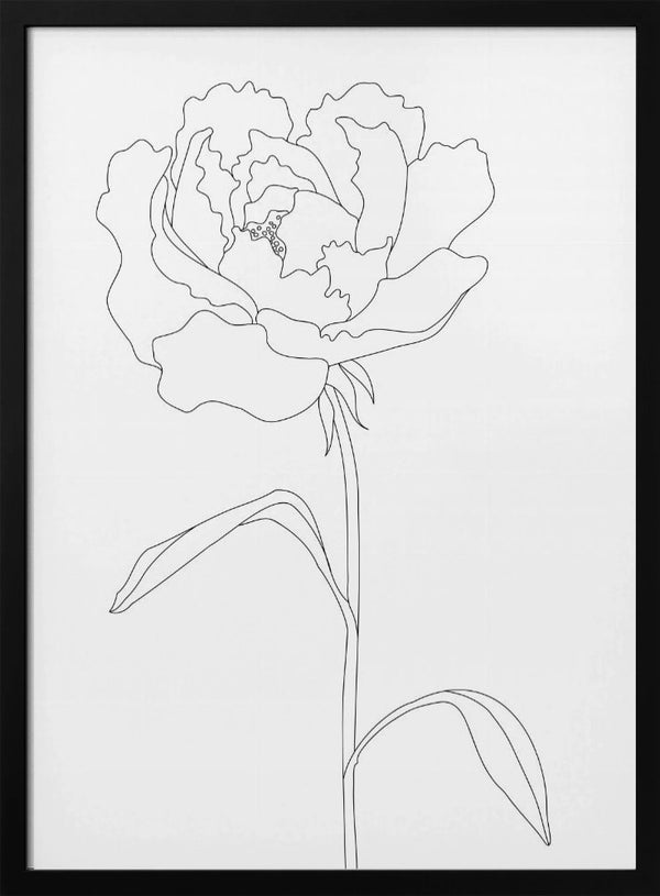 Tablou înramat „Peony Lines” de Pictufy Studio II