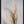Tablou înramat „Pampas Grass Grey” de Pictufy Studio III