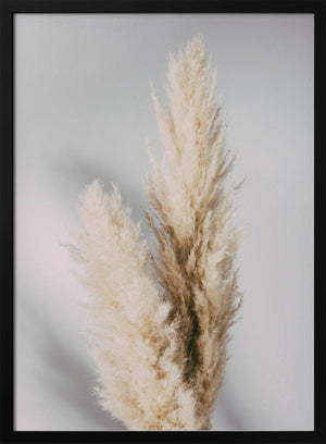 Tablou înramat „Pampas Grass Grey” de Pictufy Studio III