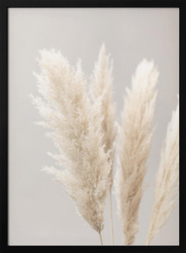 Tablou înramat „Pampas Grass Grey 02” de Pictufy Studio III