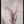 Tablou înramat „Pampas Grass” de Pictufy Studio III