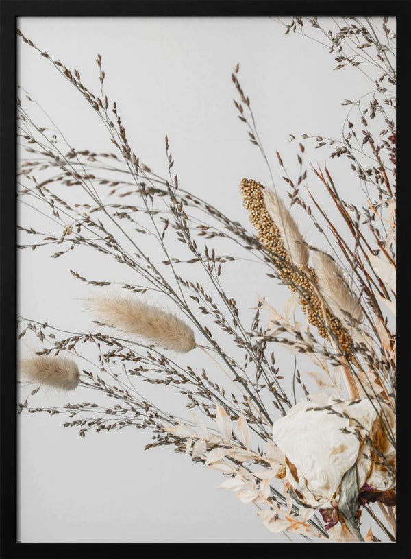 Tablou înramat „Dried_008” de Pictufy Studio III