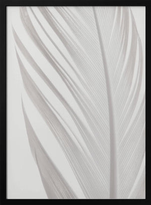 Tablou înramat „Feather_006” de Pictufy Studio III