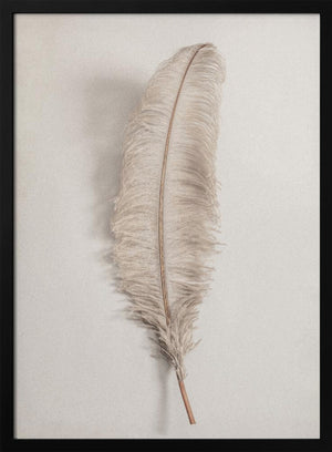 Tablou înramat „Feather_002” de Pictufy Studio III