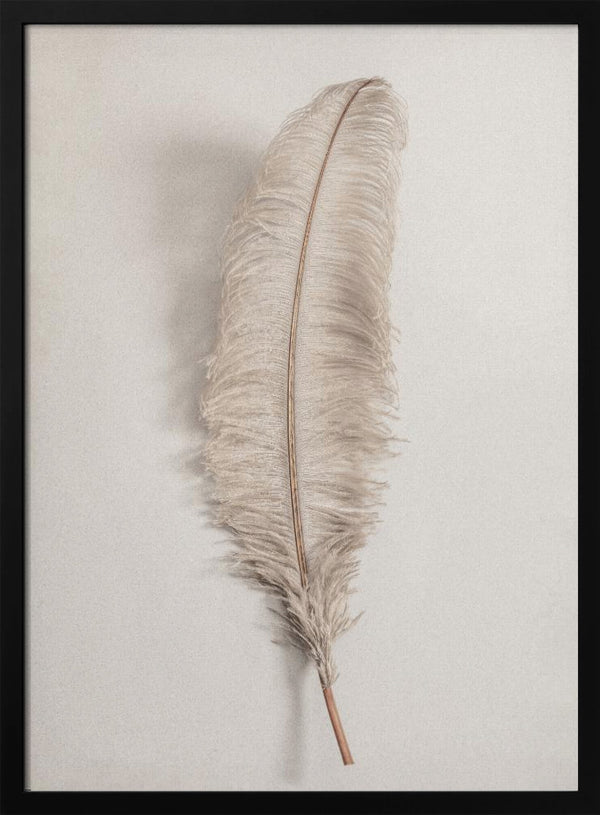 Tablou înramat „Feather_002” de Pictufy Studio III