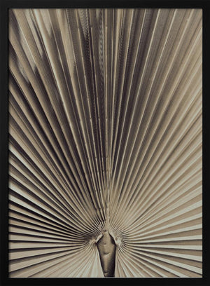 Tablou înramat „Palmblad_001” de Pictufy Studio III