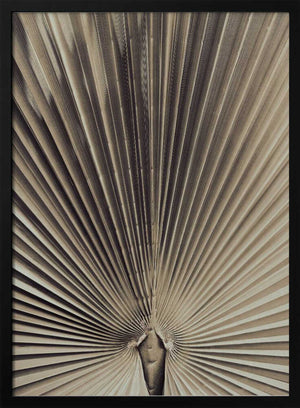 Tablou înramat „Palmblad_001” de Pictufy Studio III