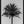 Tablou înramat „Palm_003” de Pictufy Studio III