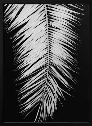 Tablou înramat „Palmblad_004” de Pictufy Studio III