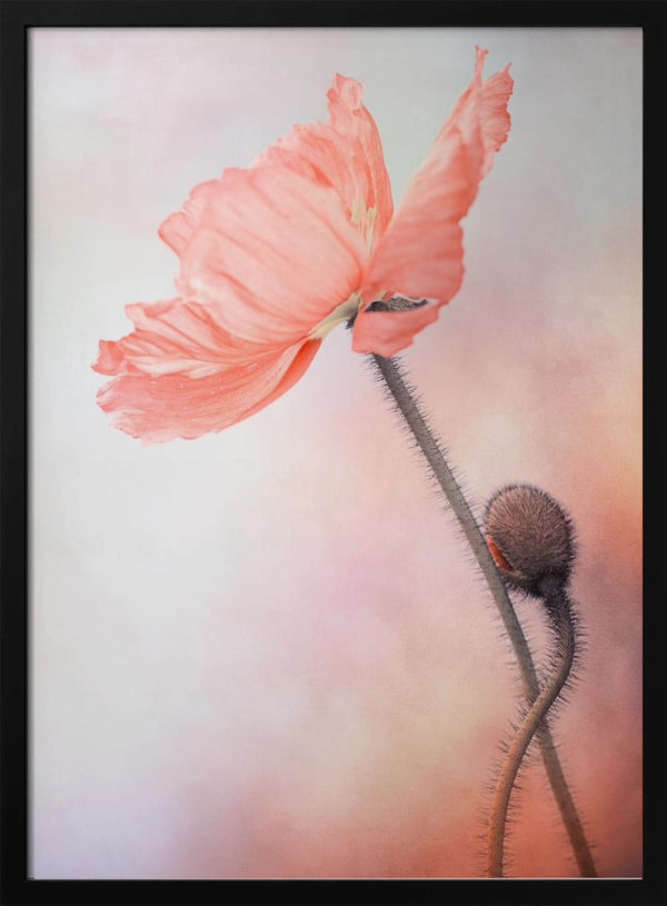 Tablou înramat „Tenderness” de Lenka