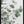 Tablou înramat „Eucalyptus_003” de Pictufy Studio III