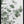 Tablou înramat „Eucalyptus_003” de Pictufy Studio III