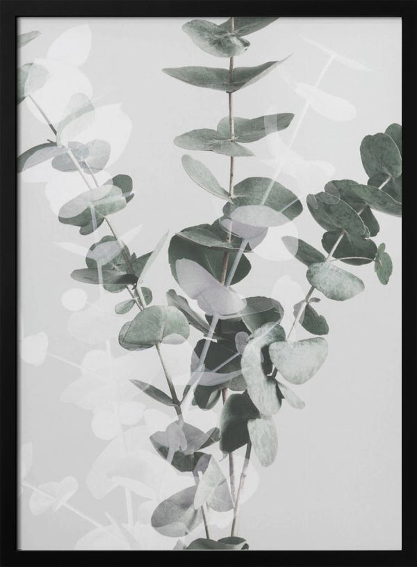 Tablou înramat „Eucalyptus_002” de Pictufy Studio III