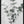 Tablou înramat „Eucalyptus_002” de Pictufy Studio III
