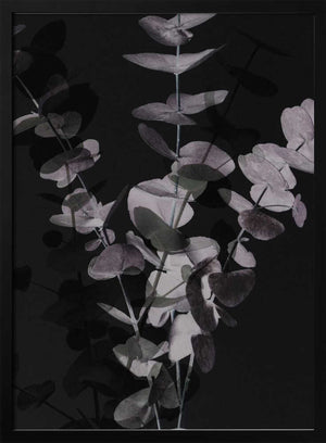 Tablou înramat „Eucalyptus_Negative_001” de Pictufy Studio III