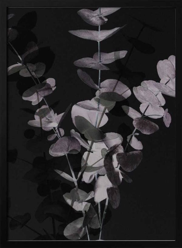 Tablou înramat „Eucalyptus_Negative_001” de Pictufy Studio III