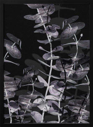 Tablou înramat „Eucalyptus_Negative_002” de Pictufy Studio III