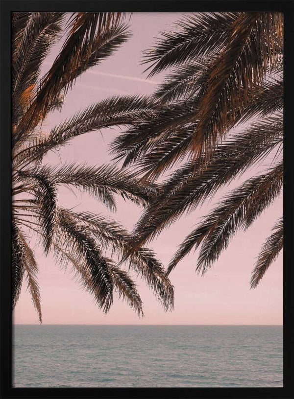 Tablou înramat „Palm_011” de Pictufy Studio III