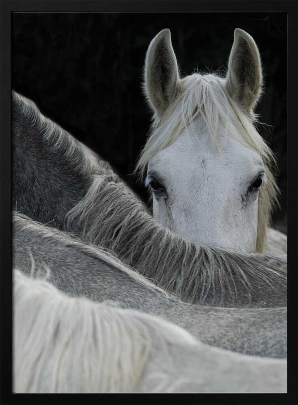 Tablou înramat „Look” de Milan Malovrh