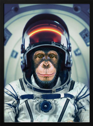 Tablou înramat „AstroMonkey” de Marcel Egger