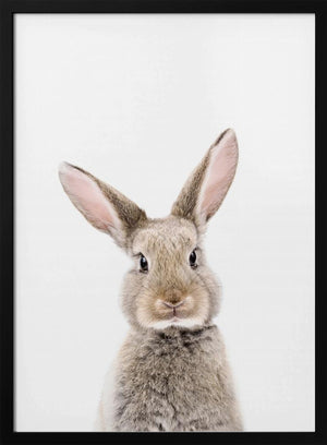 Tablou înramat „Baby Rabbit” de Kathrin Pienaar