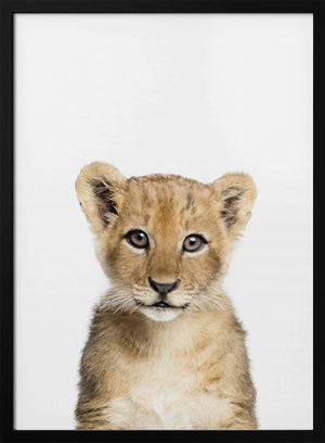Tablou înramat „Baby Lion” de Kathrin Pienaar