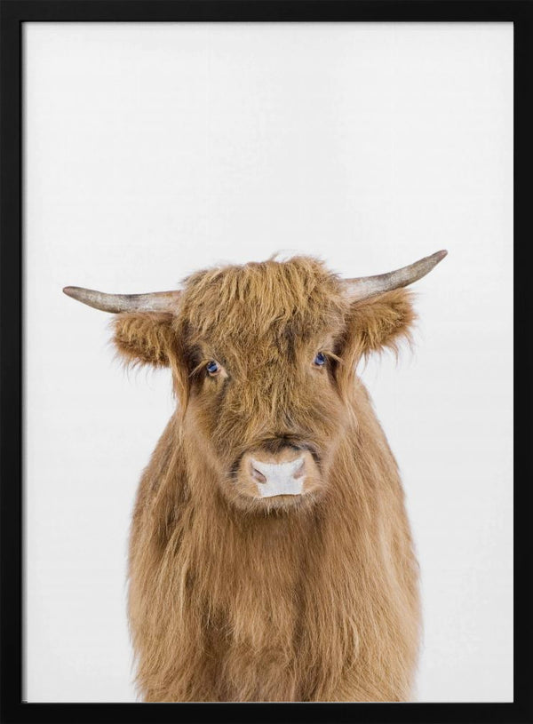 Tablou înramat „Baby Cow” de Kathrin Pienaar