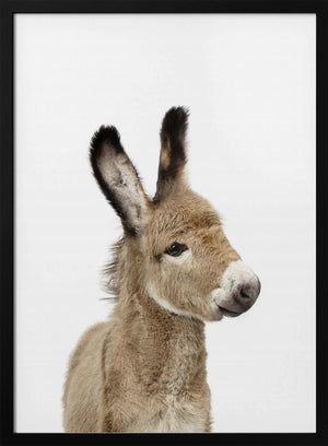 Tablou înramat „Baby Donkey” de Kathrin Pienaar