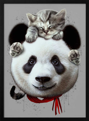 Tablou înramat „cat on panda bear” de Adam Lawless