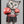 Tablou înramat „boxing cat” de Adam Lawless