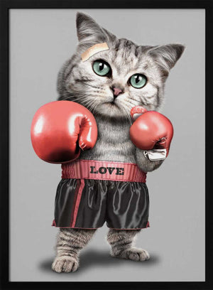 Tablou înramat „boxing cat” de Adam Lawless