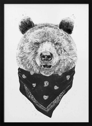 Tablou înramat „Wild bear” de Balazs Solti