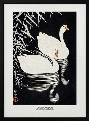 Tablou înramat „White Chinese Geese Swimming by Reeds” de Ohara Koson
