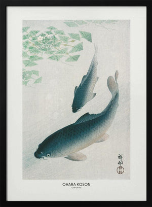 Tablou înramat „Carp Or Koi” de Ohara Koson