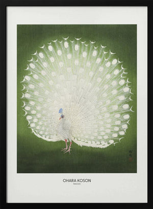 Tablou înramat „Peacock - Wide” de Ohara Koson