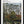 Tablou înramat „The Banks Of The Bier Near Bicetre” de Henri Rousseau