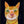 Tablou înramat „Ginger Cat” de Sharyn Bursic