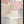 Tablou înramat „Delicate Pink-3” de Sally Ann Moss