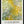 Tablou înramat „The Path Through The Irises” de Claude Monet