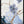 Tablou înramat „Floral Blue-3” de Sally Ann Moss