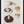 Tablou înramat „Common Meadow Mushroom, Agaricus Campestris Standing” de Anselmus Boëtius De Boodt