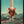 Tablou înramat „Enemy” de Frank Moth