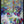 Tablou înramat „Vibrant Tapestry” de Dorothy Fagan