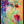 Tablou înramat „Vibrant Blossoms” de Dorothy Fagan