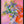 Tablou înramat „Vibrant Petals” de Dorothy Fagan