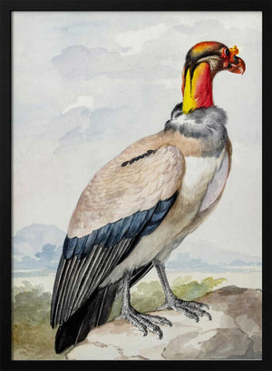 Tablou înramat „Stone Curlew” de Aert Schouman